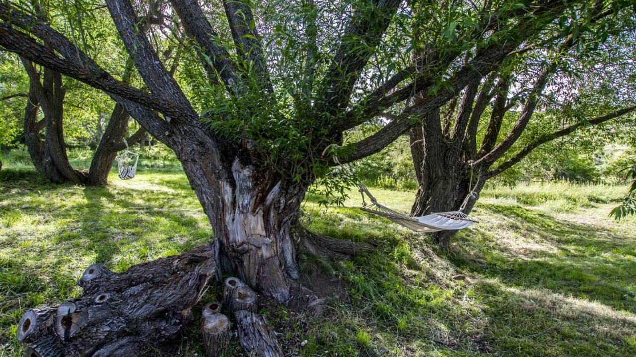 Masia El Cabrero Villarroya de los Pinares 外观 照片